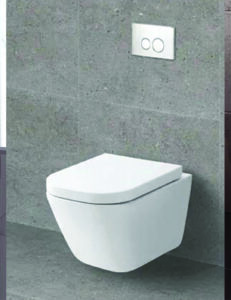 Wall-hung white WC with a soft-close seat and a dual-flush plate above
